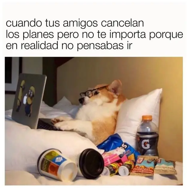 sigueme y te sigo