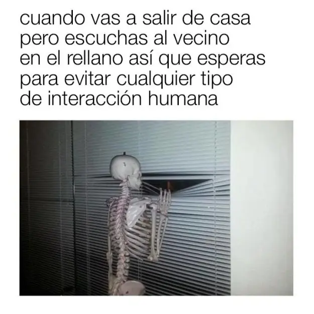 Verdad