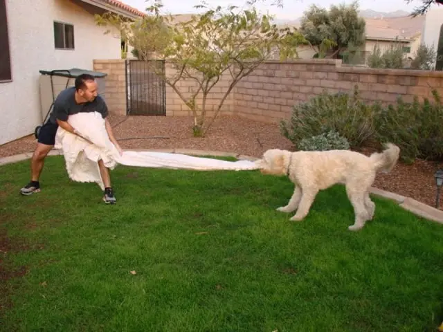 divorciado