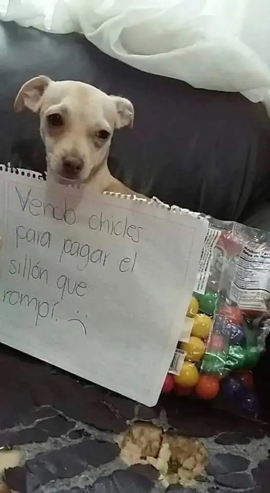 gente loca