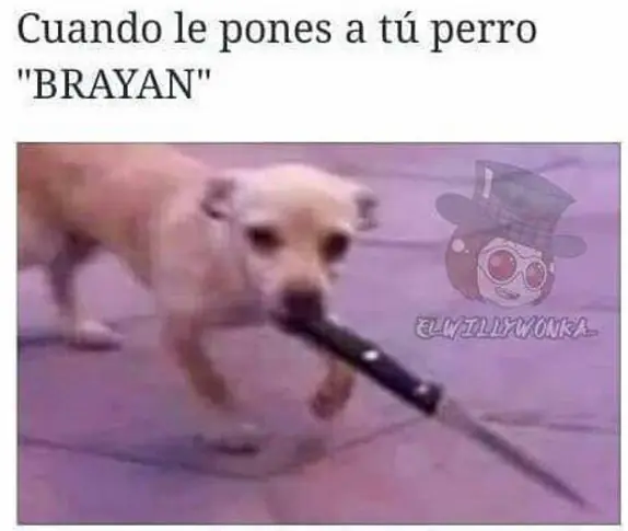 este post