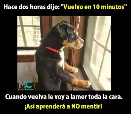 imagenes
