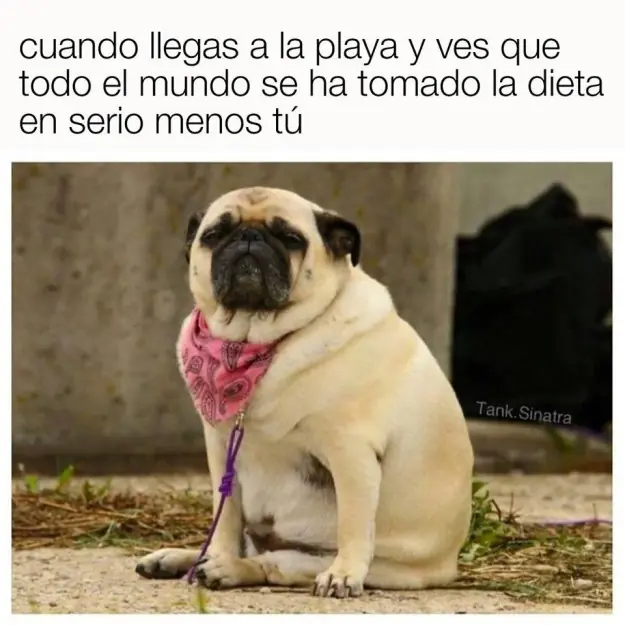 Verdad