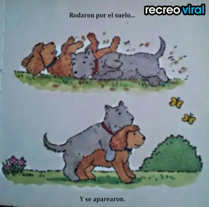 imagenes imagenes