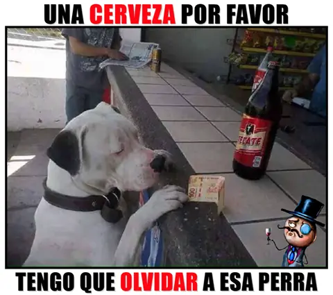 imagenes