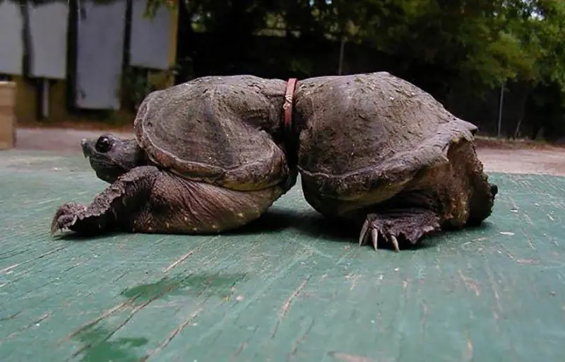 Estas fotos muestran el fin del mundo.