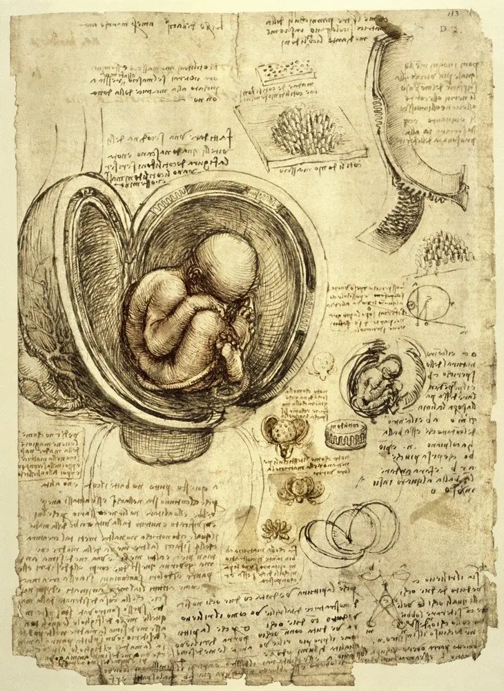 davinci