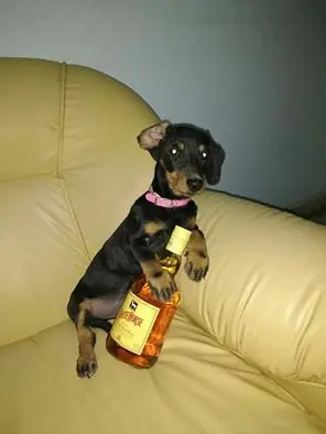 Tango