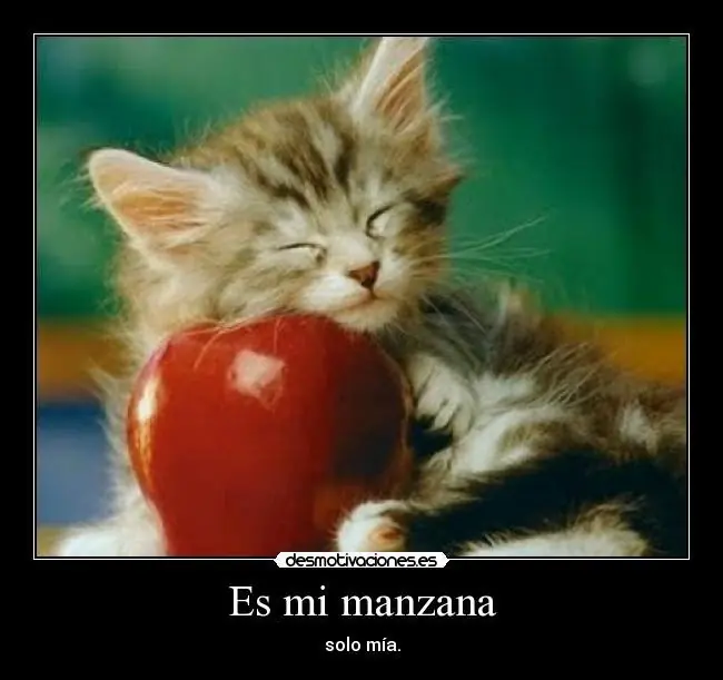 Después de este post vas a querer comer una manzana