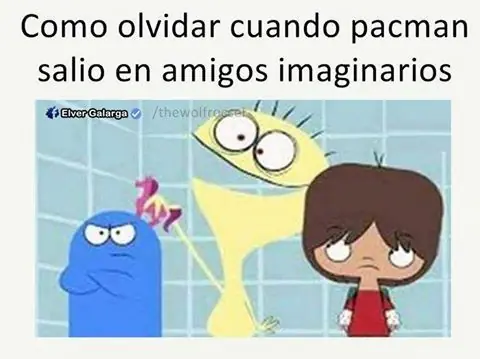 humor memes