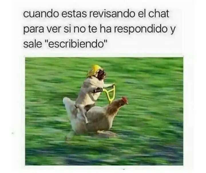 Lo mejor del humor mexicano parte 17