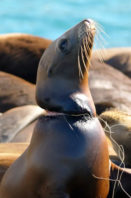 Estas fotos muestran el fin del mundo. Estas fotos muestran el fin del mundo.
