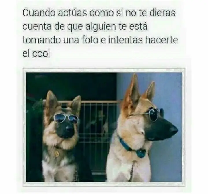 Lo mejor del humor mexicano parte 17