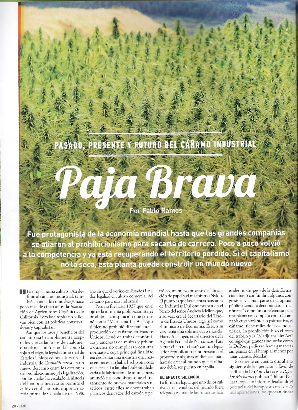 Marihuana: cañamo industrial
