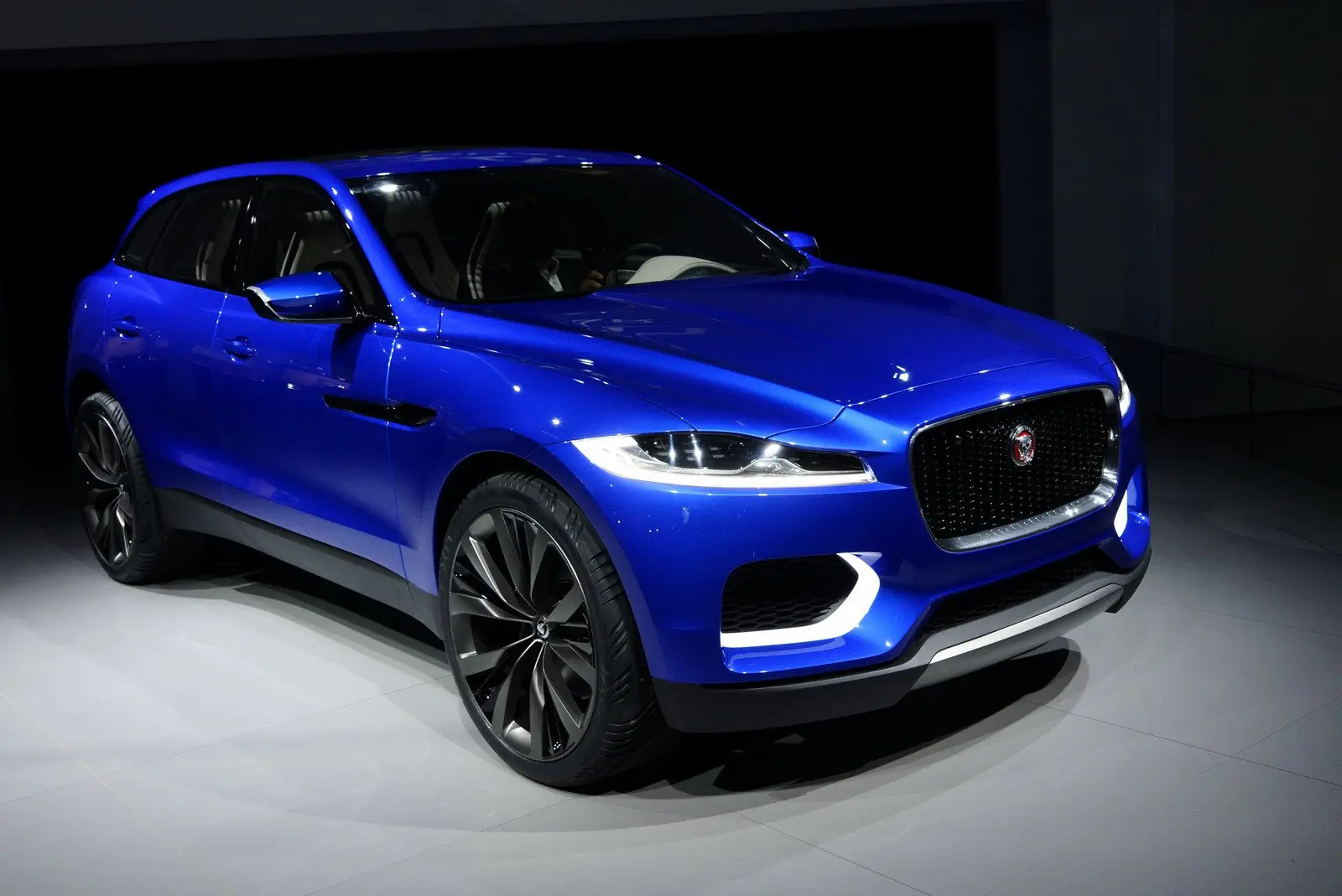 jaguar
