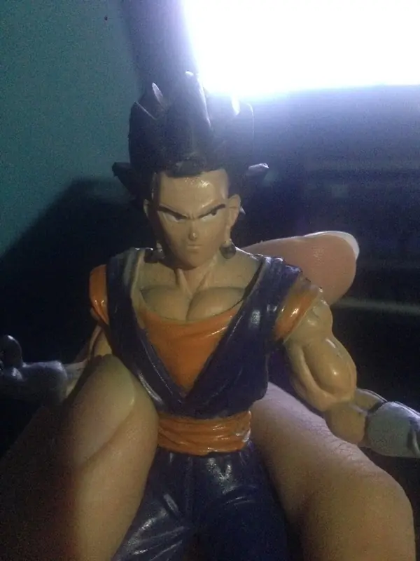 vegetto