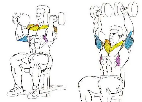 arnold arnold