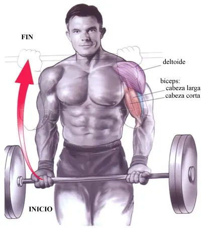 arnold arnold