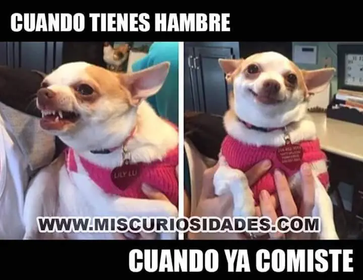 denuncia