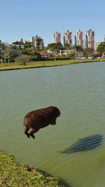 lo mejor que veras hoy