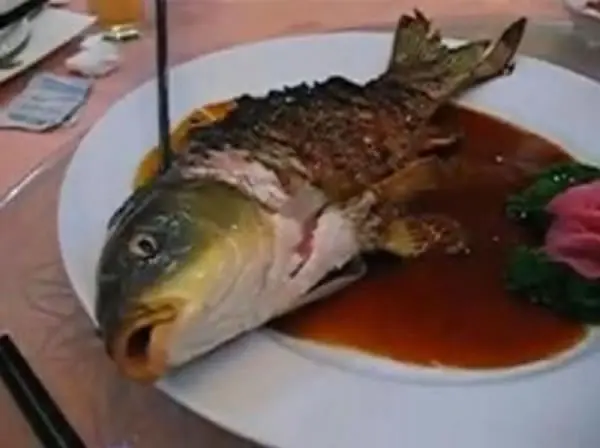 recetas en casa