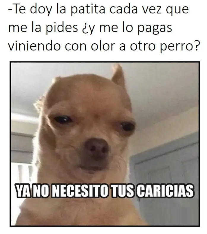 Imágenes de Humor para Taringueros (09/11/16)