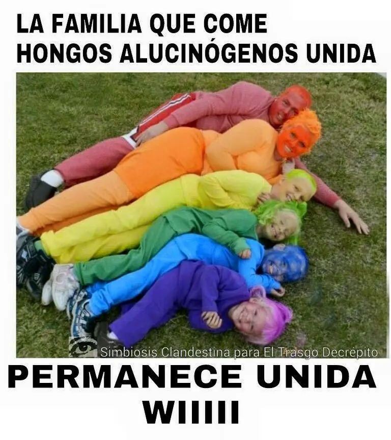 denuncia