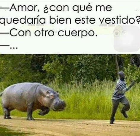 reite