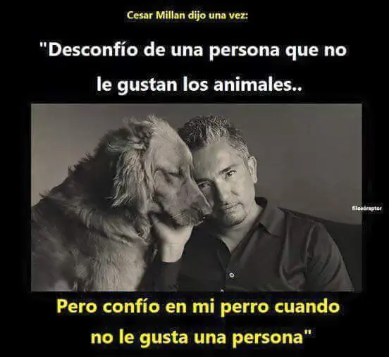 maquinola