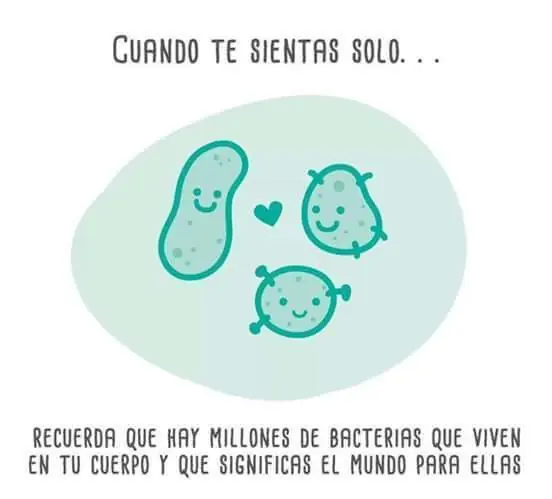 Imagenes de humor maquinola