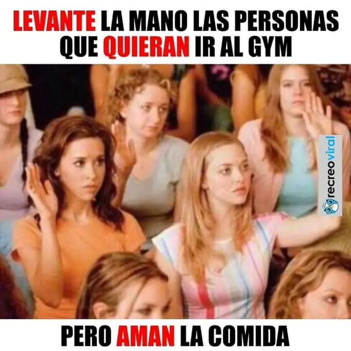 reite