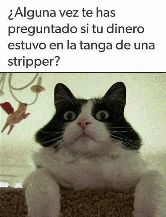 meme