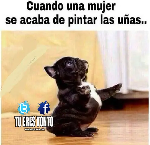 denuncia