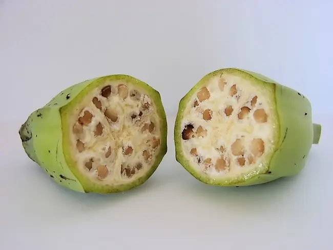 bananas bananas