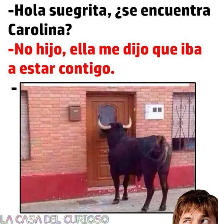 maquinola