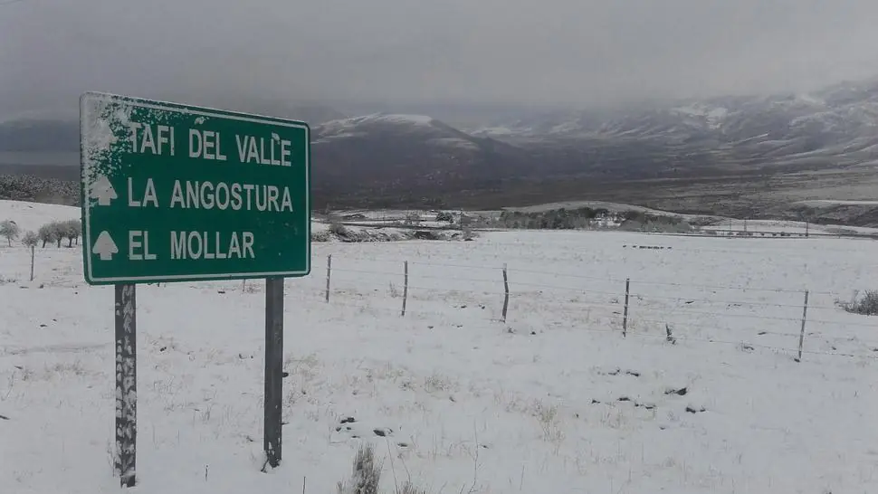 La nieve cubrió durante la madrugada Tafí del Valle