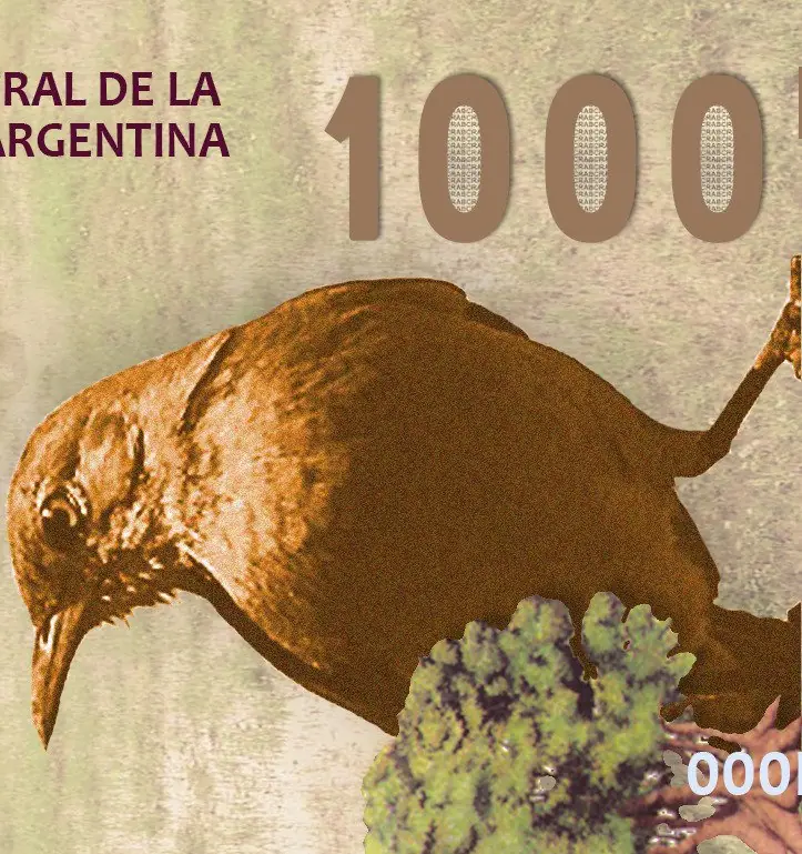 Hice el billete de Mil pesos y te lo muestro