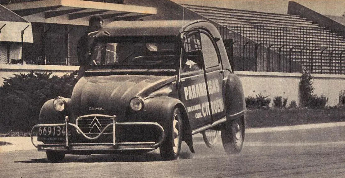 revista revista