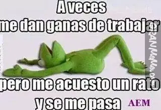 Humor de miercoles con la rana rene