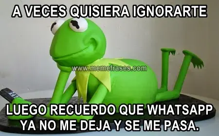 Humor de miercoles con la rana rene