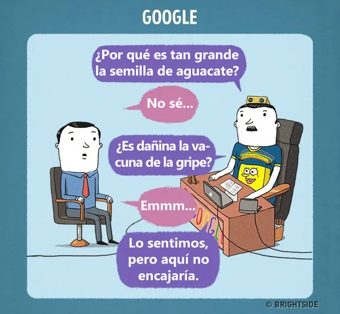 curriculum vitae curriculum vitae