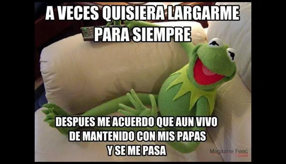 Humor de miercoles con la rana rene