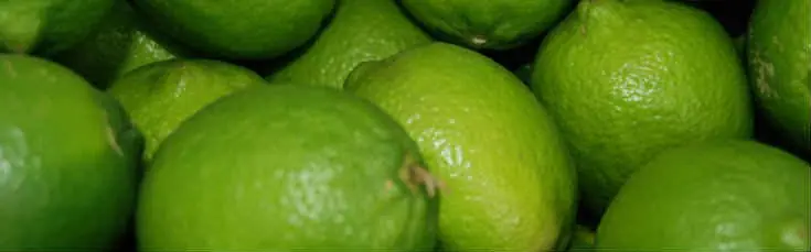 saludable