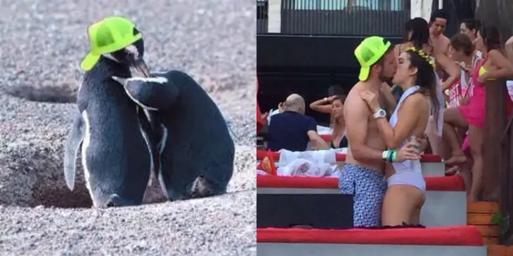 #Ladypingüina te hará perder la fe que tenías en el amor …