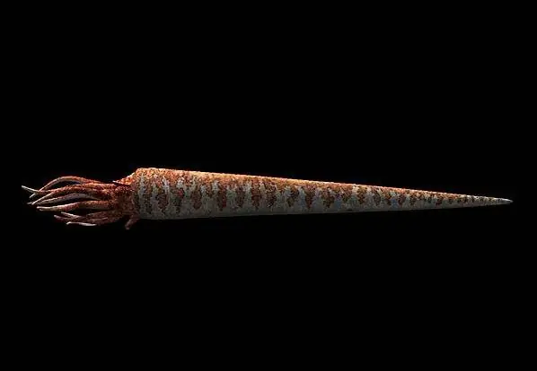 Extinciones masivas de la Tierra (I) (Ordovícico-Silúrico)