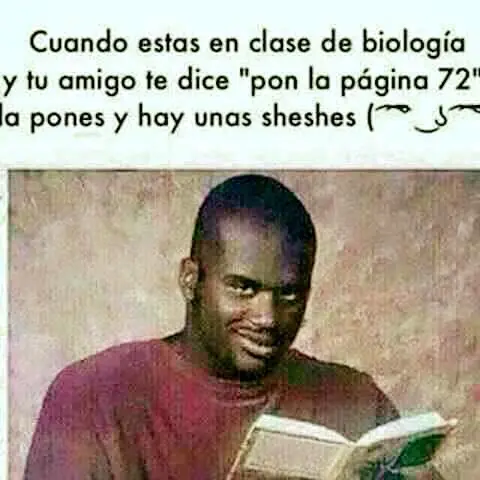 imagenes