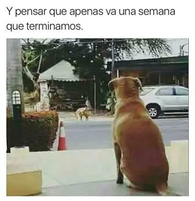 humor