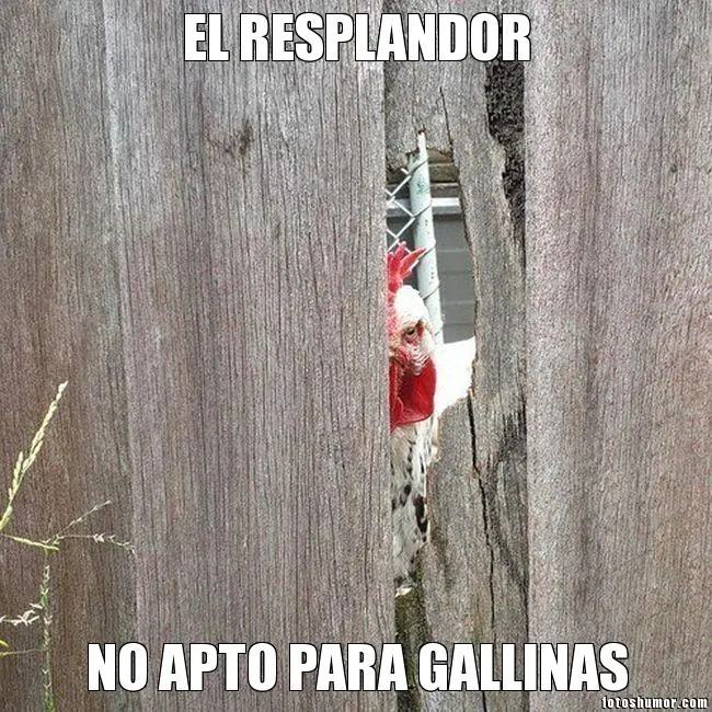 imagenes de humor