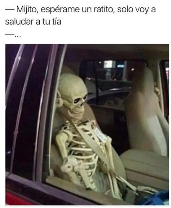 bienvenida