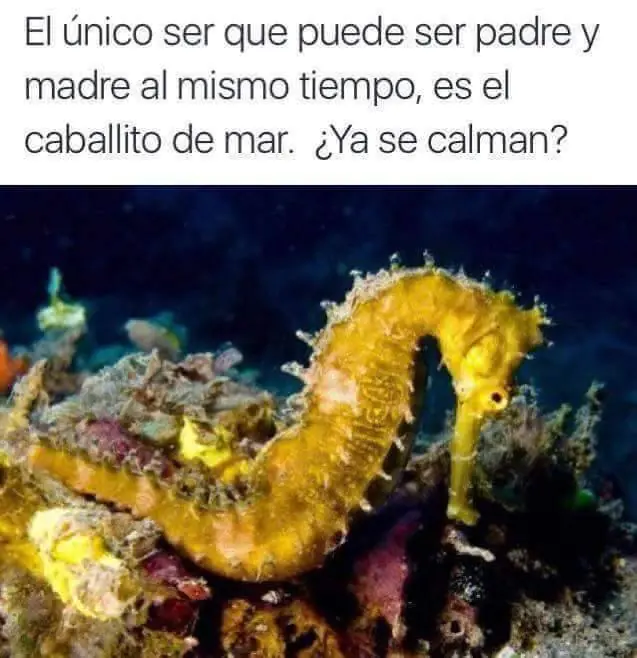 imagenes